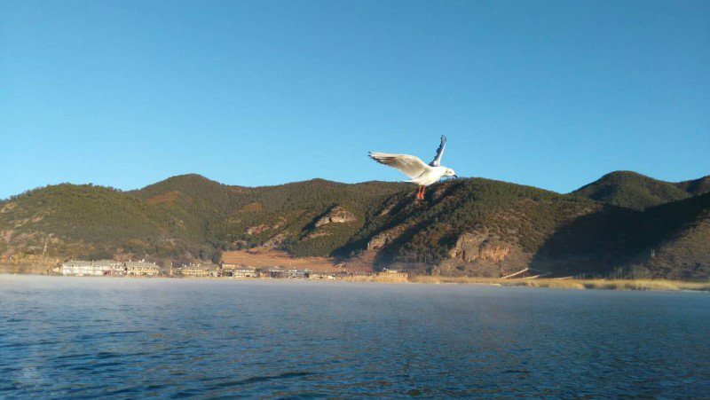 西昌瀘山邛海、知青博物館、摘草莓雙汽三日游